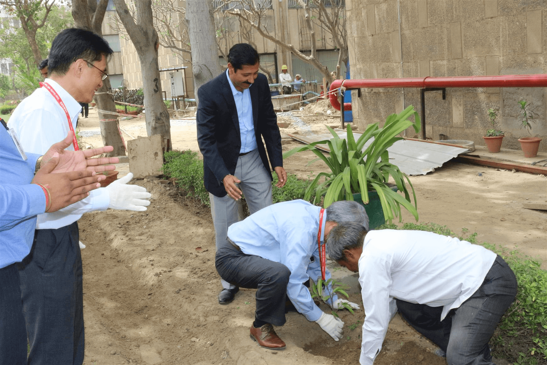 Tree Plantation